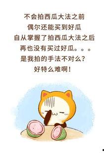 娱乐吃瓜酱拒绝精神,揭秘轻松生活之道