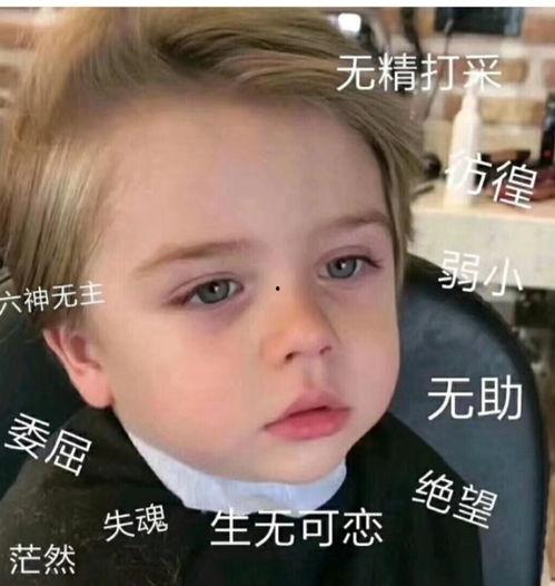 微信里的表情包吃瓜什么意思