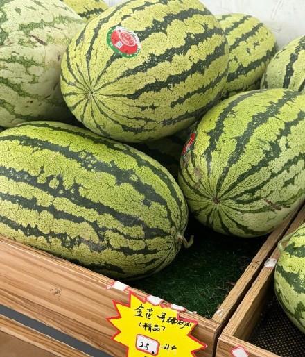 娱乐区吃瓜,揭秘明星们的“吃瓜”日常