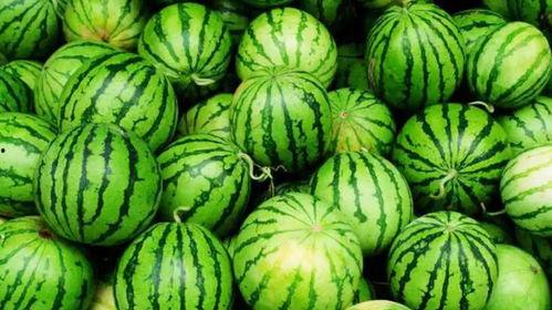 娱乐吃瓜酱算什么行业的,揭秘娱乐圈幕后那些事儿