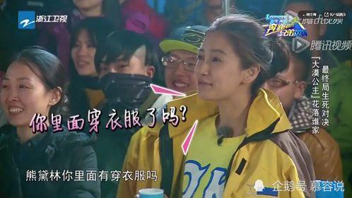 娱乐圈综艺节目吃瓜小说,揭秘明星们的“吃瓜”生活